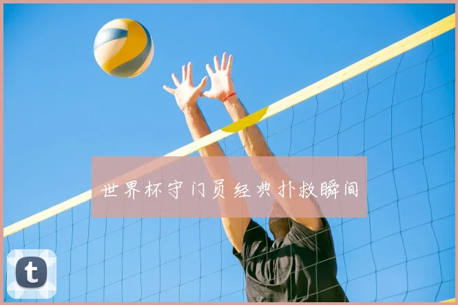 世界杯守门员经典扑救瞬间