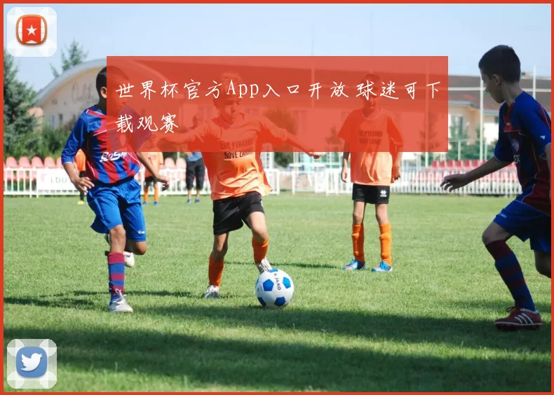 世界杯官方App入口开放 球迷可下载观赛