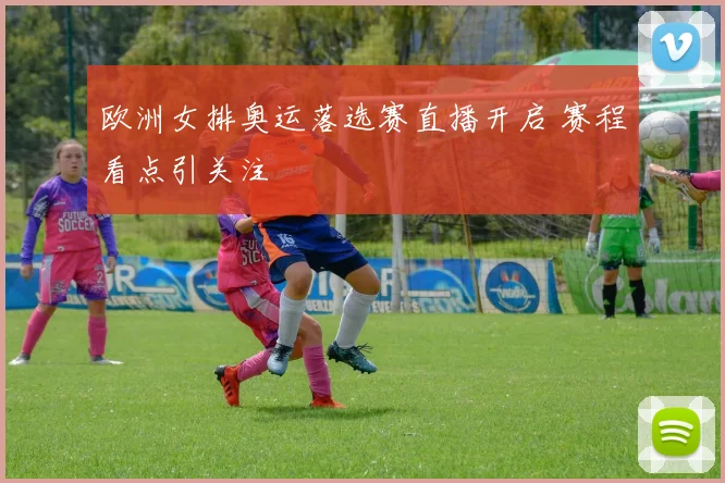 欧洲女排奥运落选赛直播开启 赛程看点引关注
