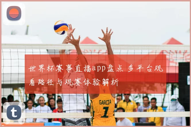 世界杯赛事直播app盘点 多平台观看路径与观赛体验解析